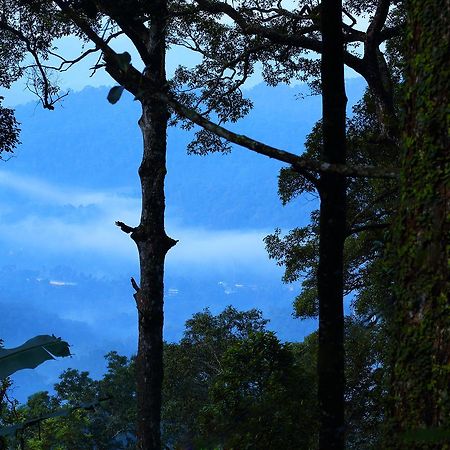 Madhumanthra Resort - Homestay Munnar Εξωτερικό φωτογραφία