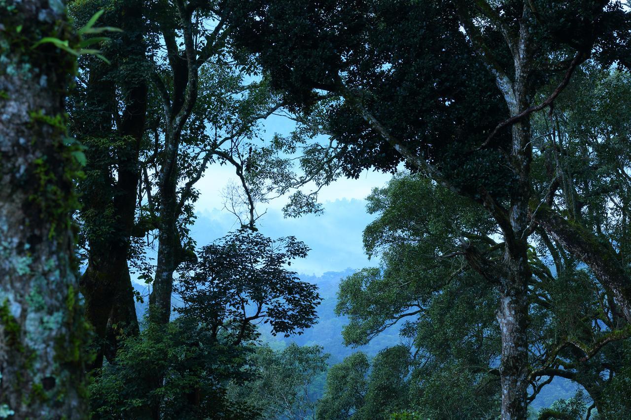 Madhumanthra Resort - Homestay Munnar Εξωτερικό φωτογραφία