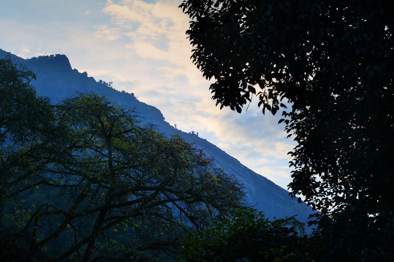Madhumanthra Resort - Homestay Munnar Εξωτερικό φωτογραφία