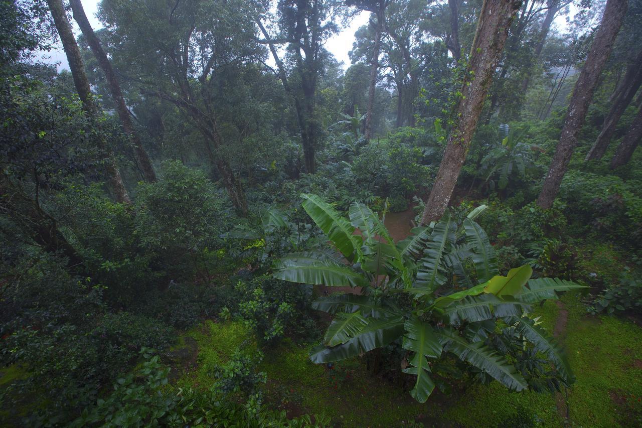 Madhumanthra Resort - Homestay Munnar Εξωτερικό φωτογραφία