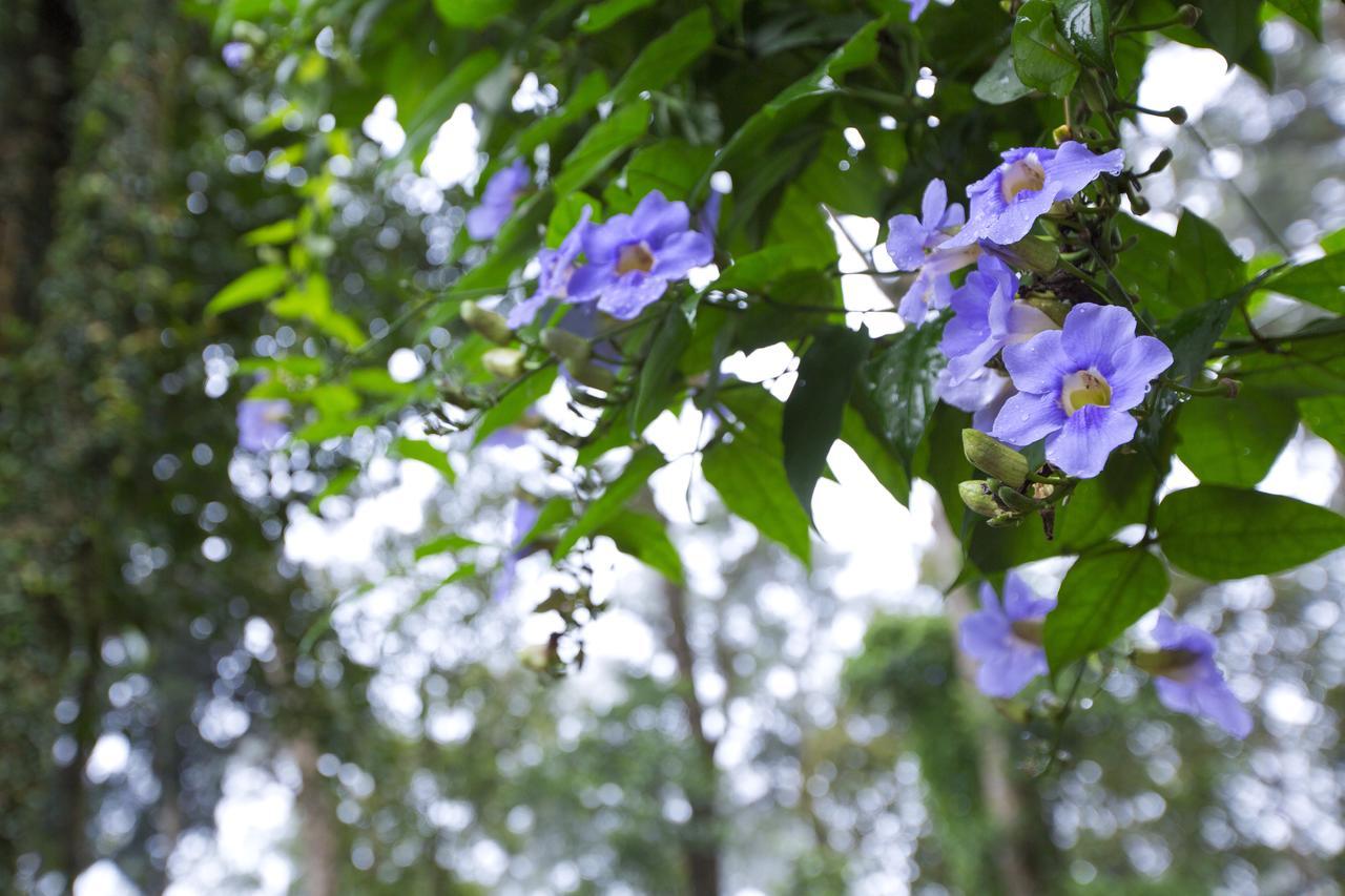Madhumanthra Resort - Homestay Munnar Εξωτερικό φωτογραφία